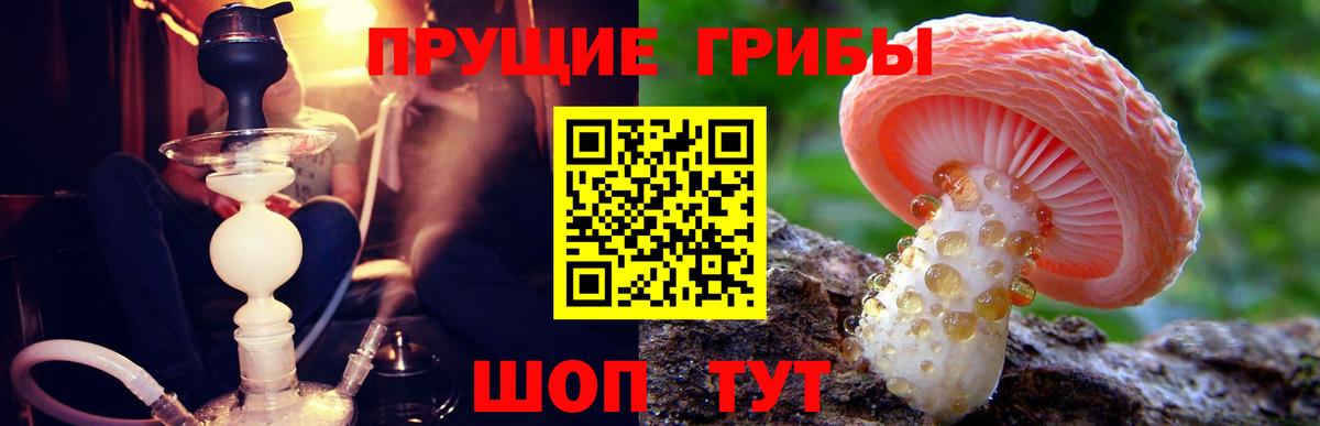 Псилоцибиновые грибы MAGIC MUSHROOMS Наро-Фоминск